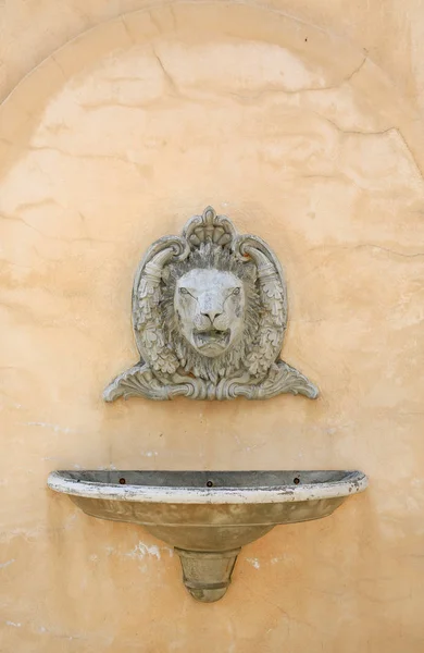 Lavabo Antiguo Con Cabeza León Apedreado Fregadero Recipiente Pared Hormigón — Foto de Stock