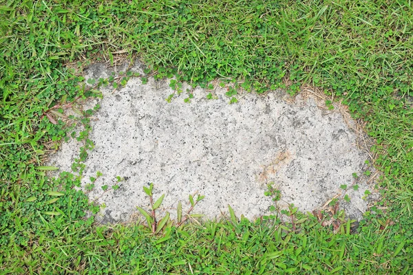 Stone Texture Background Covered Green Grass Concrete Pattern Copy Space — Stock Photo, Image