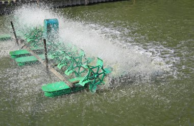 Türbin baler atıksu arıtma gölet için çalışma.