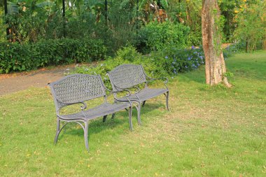 sandalye genel parkta sonbahar yaprakları etrafında kurumuş. Yalnız ve huzurlu hissediyorum.