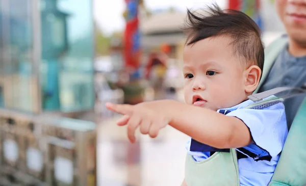 Adorable Little Baby Boy Wskazując Coś Ojcem Nosić Hipseat Zewnątrz — Zdjęcie stockowe