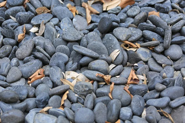背景のための乾燥した葉と黒い砂利の小石 — ストック写真