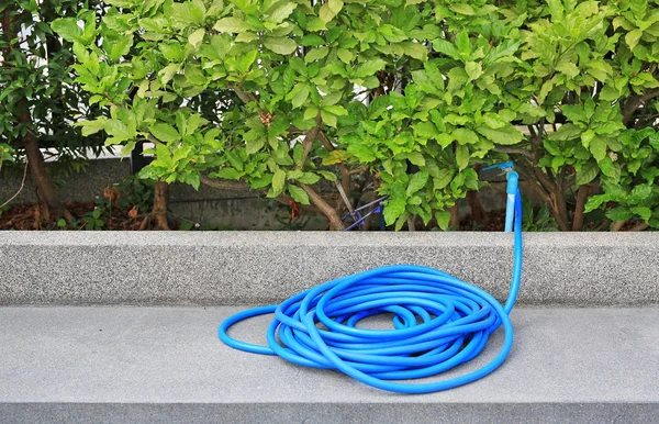 Tubo Borracha Azul Para Regar Plantas Jardim — Fotografia de Stock