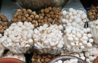 Mantar sokak gıda Tayland sepet içinde çeşitli.