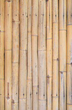 Altın bambu çit arka plan