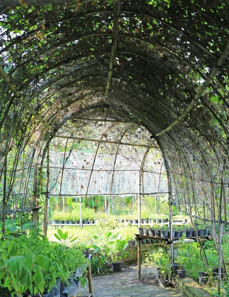 Tunnel Boog Tuin — Stockfoto