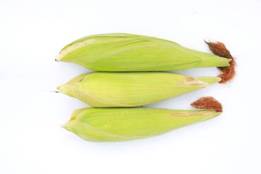 Beyaz arka planda izole kabuk taze mısır.