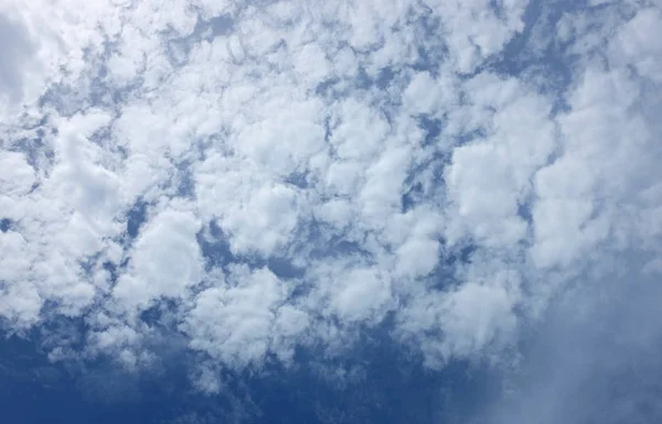 Puffy Cloud on the blue sky background.