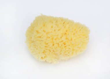 Beyaz arka planda izole bebekler için banyo deniz süngeri.