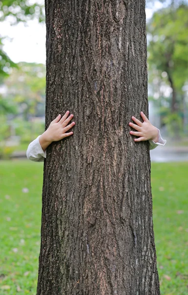 自然を受け入れる子供の手 子供が公園で木を抱きしめる — ストック写真