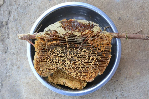 Färsk Honeycomb Stick Trädgrenen Från Djungeln Aluminium Skål — Stockfoto