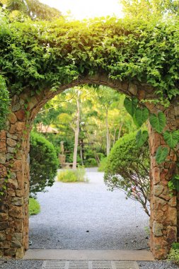 Taş kemer giriş kapısı sarmaşık ile kaplı. Güneş ışığı ile parka Archway.