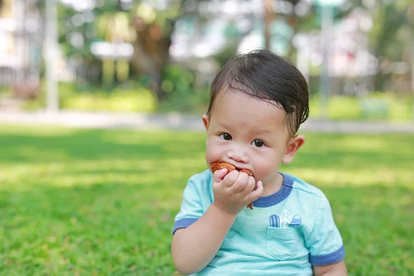 亚洲男婴喜欢在绿色花园户外吃炸鸡 — 图库照片