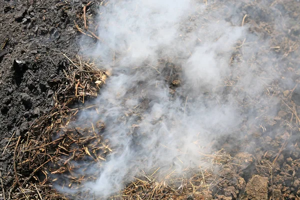 Fumaça Carvão Vegetal Uma Floresta Maneira Tradicional — Fotografia de Stock