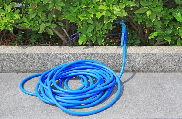 Tubo Borracha Azul Para Regar Plantas Jardim — Fotografia de Stock