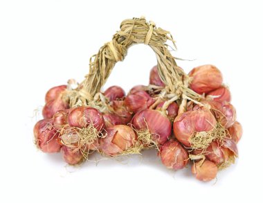 Beyaz arka planda soğan demet bir yığın.