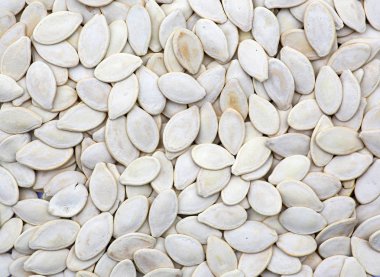 Arka plan için bir kabak çekirdeği