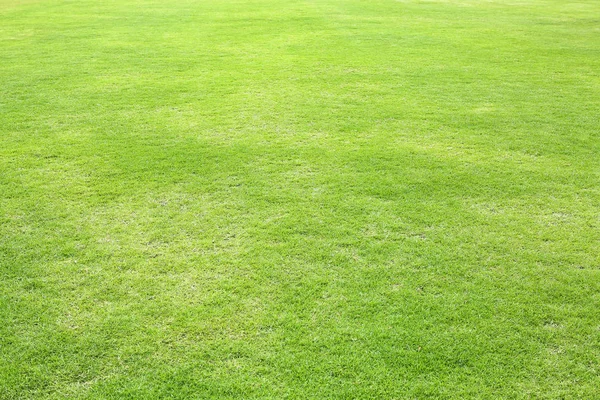 Verde Naturale Rifilato Erba Campo Sfondo Gli Sport — Foto Stock