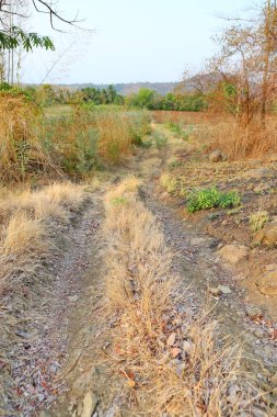 Tayland dağa ülke yolu.