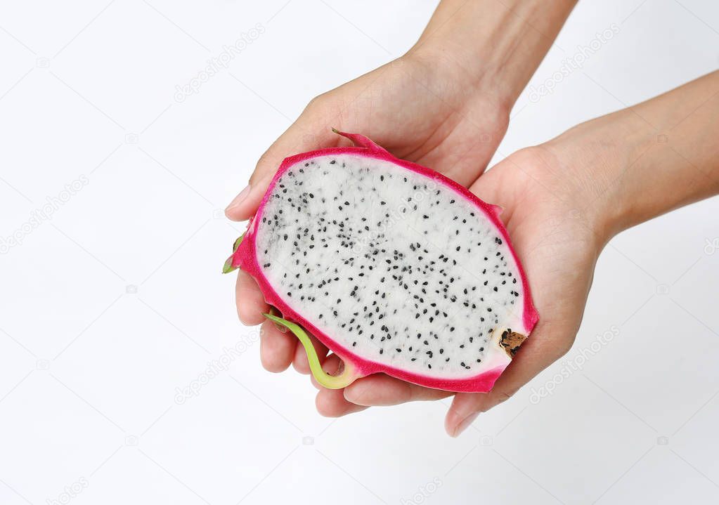 Female hand holds ripe dragon fruit on white background