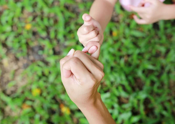 Mother Daughter Making Pinkie Promise Green Grass Garden — Stock Photo, Image