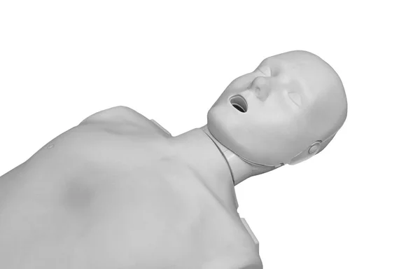 Модель Обучения Искусственному Дыханию Медицинская Процедура Изолирована Белом — стоковое фото