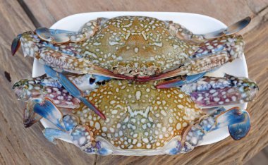 Taze at Yengeç beyaz plaka üzerinde