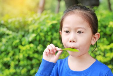 Çocuk kız yaz bahçesinde bir yaprak ile ağız dan hava üfleme tarafından bir melodi çalar.
