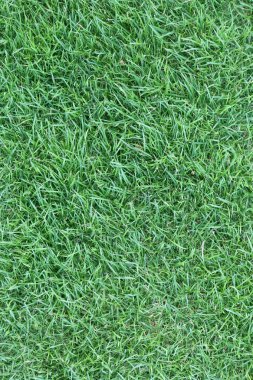 yeşil çim alan sorunsuz arka plan dokusu