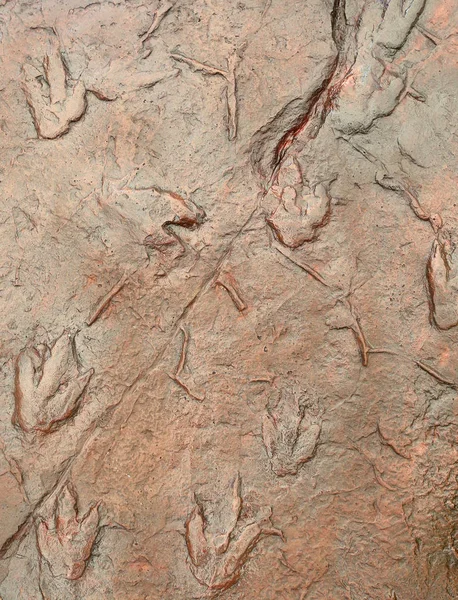 Pegadas Dinossauros Nas Rochas — Fotografia de Stock