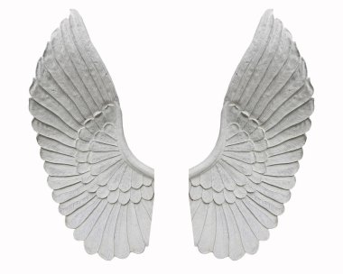 Beyaz arkaplanda izole edilmiş melek kanadı