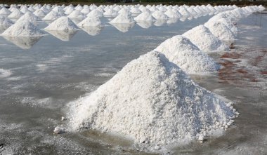 Tayland Deniz tuzu çiftliği