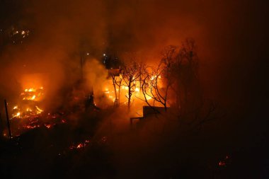 Burned ağaç ve alacakaranlıkta şehirdeki terk edilmiş ev görüntüsü
