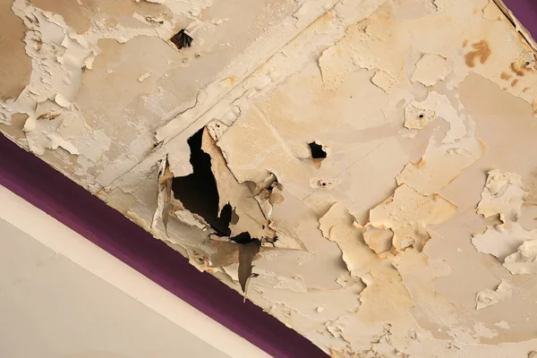 Tavan panelleri ev yağmur suyu sızıntısı zarar.