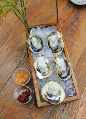 İstiridye yemek için hazır mısın taze açtı.