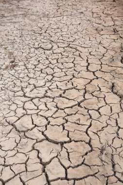 Dünya ve kuru toprak çatlamak