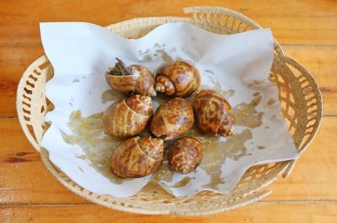 Sepet üzerinde ızgara sarmal babylon salyangoz