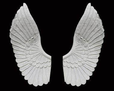 siyah arka plan üzerine izole melek kanadı