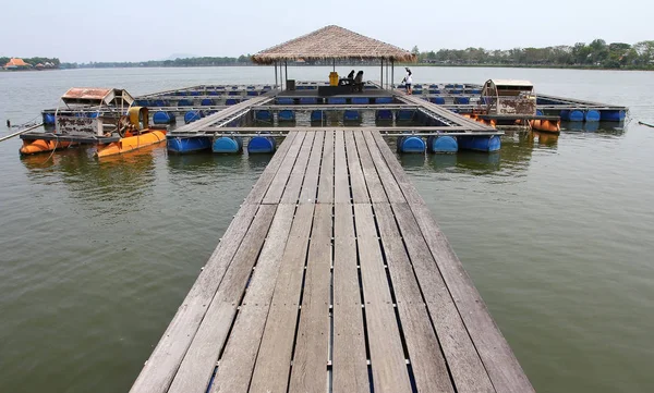 养鱼场位于泰国国家 — 图库照片