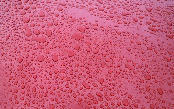 Water drops at metallic red car paint