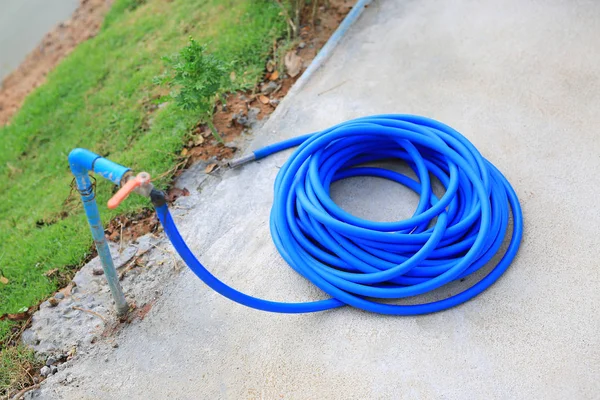 Tube Caoutchouc Bleu Pour Arroser Les Plantes Dans Jardin — Photo