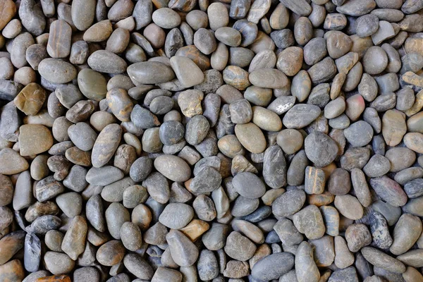 小石の石のテクスチャの背景 — ストック写真