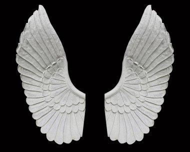 siyah arka plan üzerine izole melek kanadı