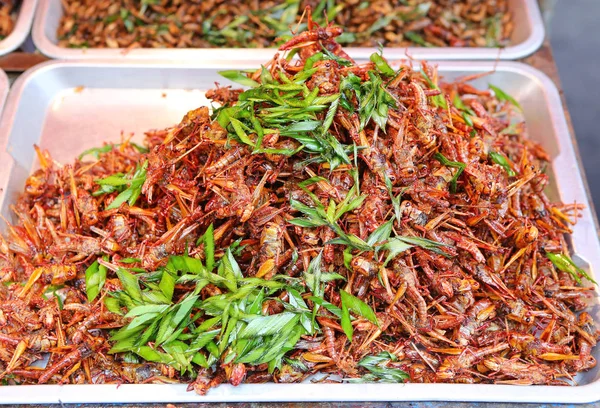 시장에서 메뚜기 — 스톡 사진