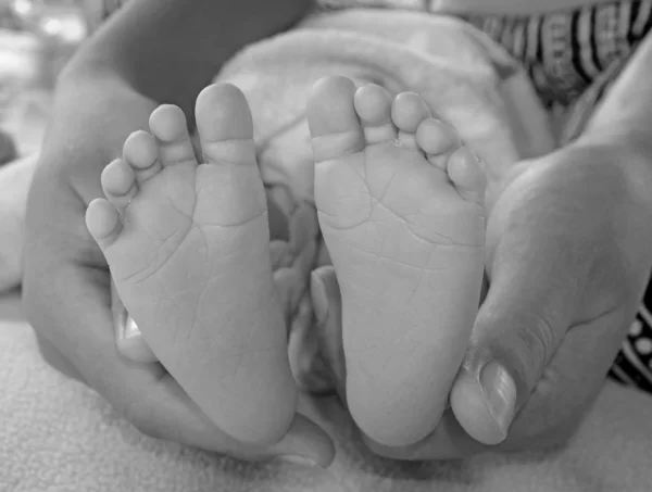 Newborn baby foot in mom hands. Black and white tone.