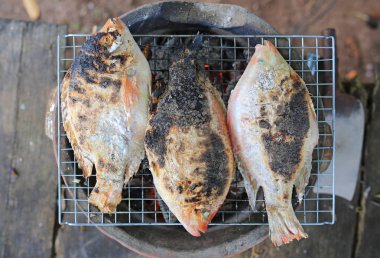 Izgarada tuzla kızartılmış kırmızı Tilapia balığı..