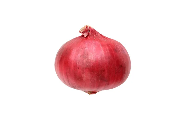 Red Onions Bulb Isolated White Background Side View — Stock Photo, Image