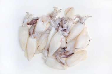 Beyaz stüdyo arka planında izole edilmiş taze mürekkep balıkları.