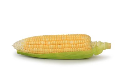 Beyaz arka planda izole edilmiş yeşil kabuklu mısır koçanı. Kırpma yolu ile resim.