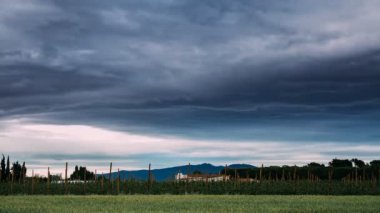 Zaman atlaması, Zaman atlaması, Güney İspanya 'daki kırsal buğday tarlası ve üzüm bağı manzarası. Yaz Akşamı